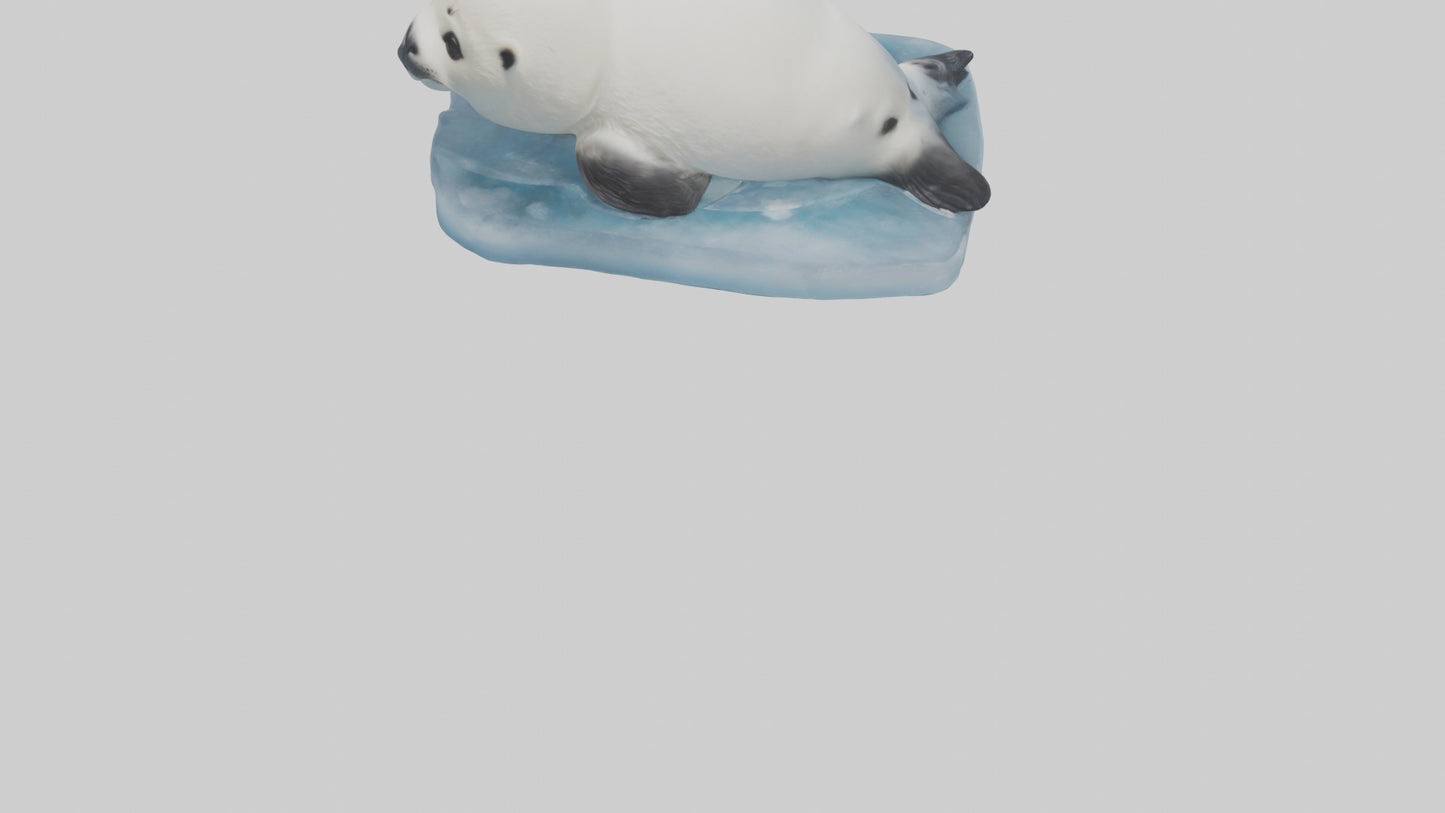 3D model Harp Seal pup on ice model VR / AR / low-poly