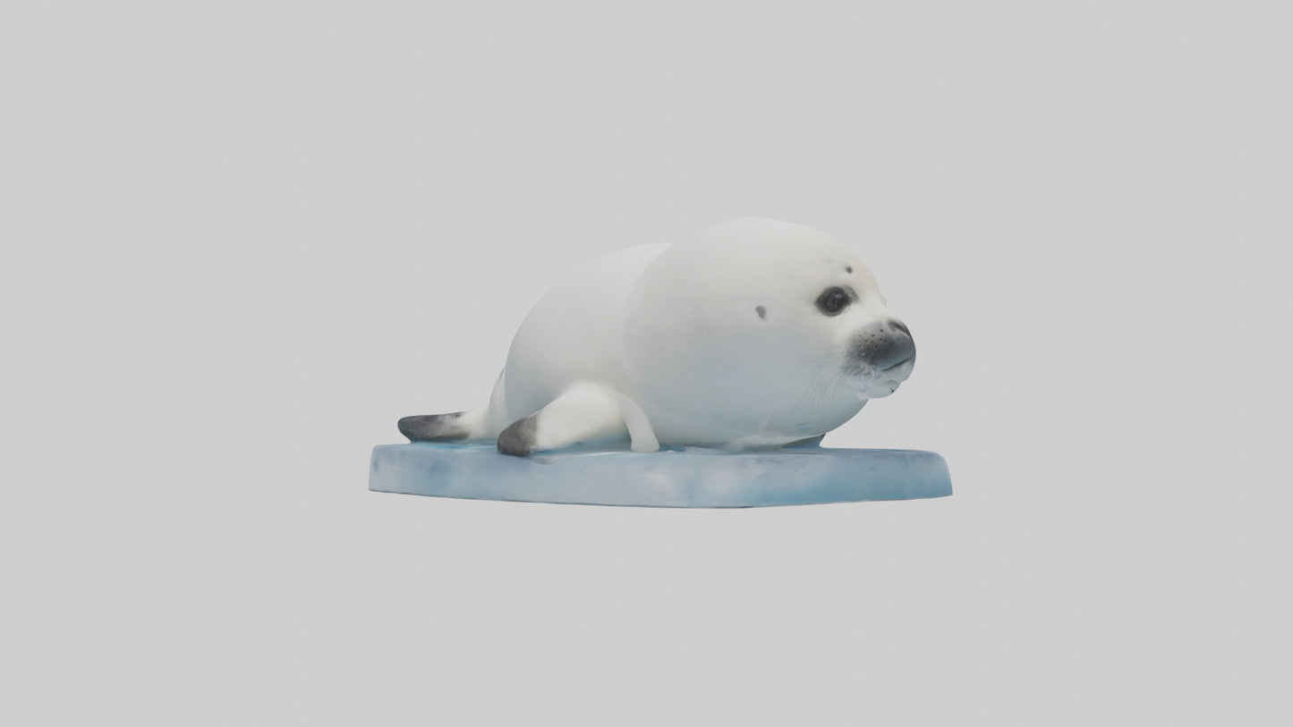 3D model Harp Seal pup on ice model VR / AR / low-poly