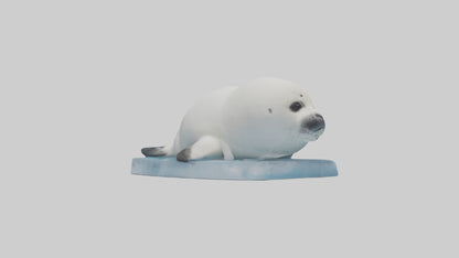 3D model Harp Seal pup on ice model VR / AR / low-poly