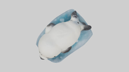 3D model Harp Seal pup on ice model VR / AR / low-poly
