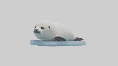 3D model Harp Seal pup on ice model VR / AR / low-poly