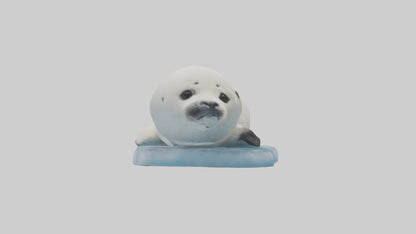 3D model Harp Seal pup on ice model VR / AR / low-poly