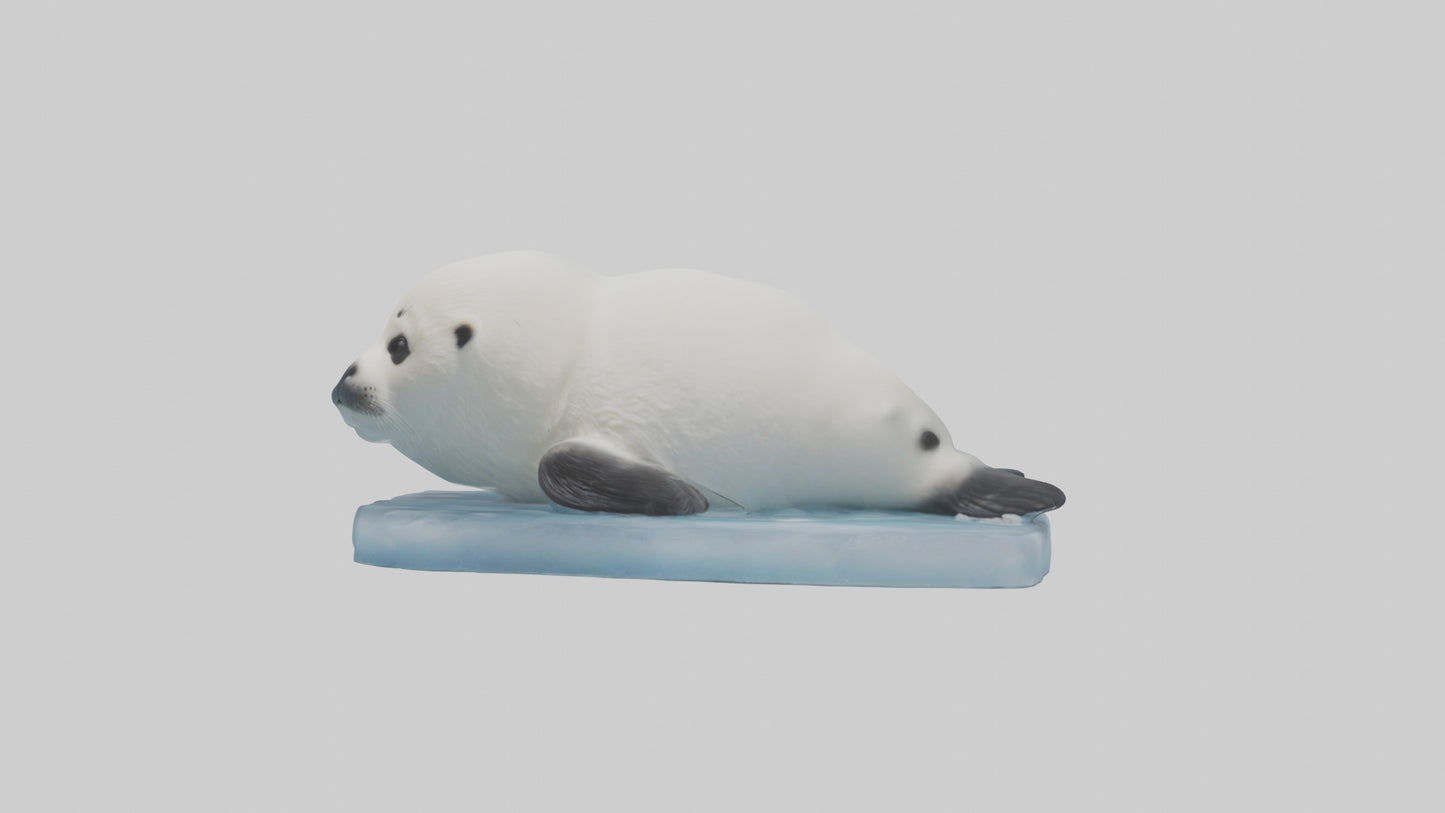 3D model Harp Seal pup on ice model VR / AR / low-poly