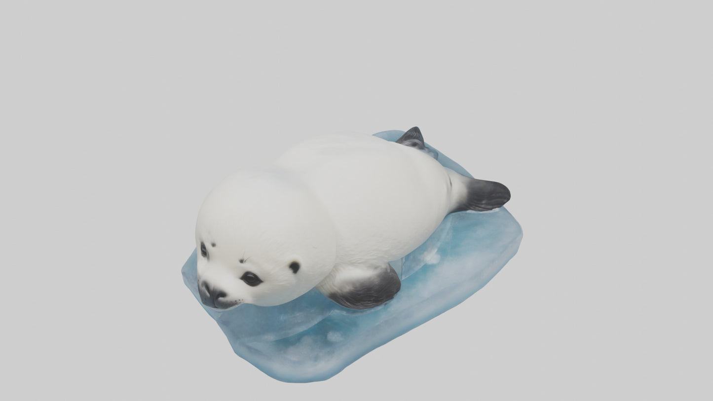 3D model Harp Seal pup on ice model VR / AR / low-poly