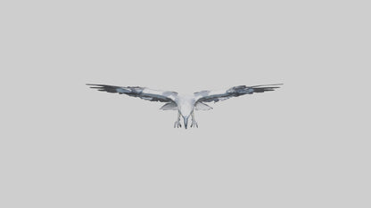 3D model Harpy Eagle soaring model VR / AR / low-poly