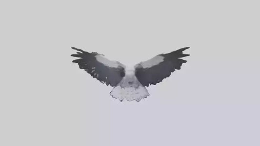 3D model Harpy Eagle soaring model VR / AR / low-poly