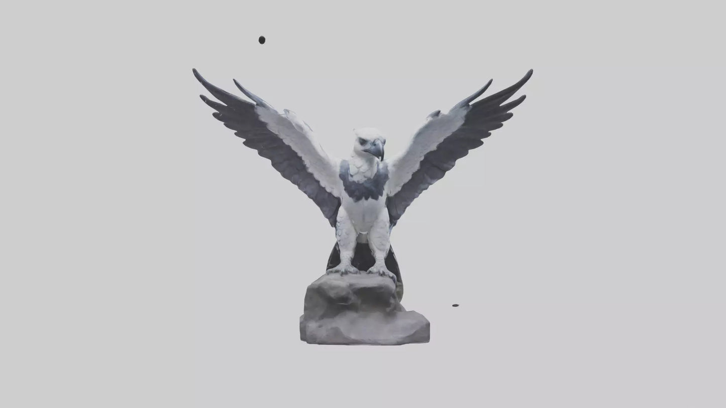 3D model Harpy Eagle statue model VR / AR / low-poly