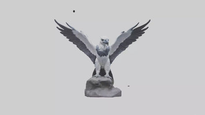 3D model Harpy Eagle statue model VR / AR / low-poly