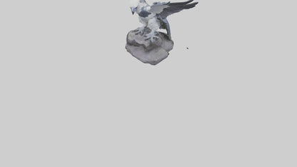 3D model Harpy Eagle statue model VR / AR / low-poly