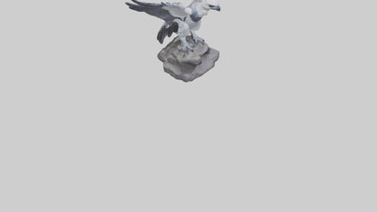 3D model Harpy Eagle statue model VR / AR / low-poly
