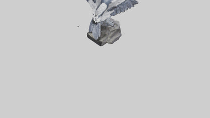 3D model Harpy Eagle statue model VR / AR / low-poly