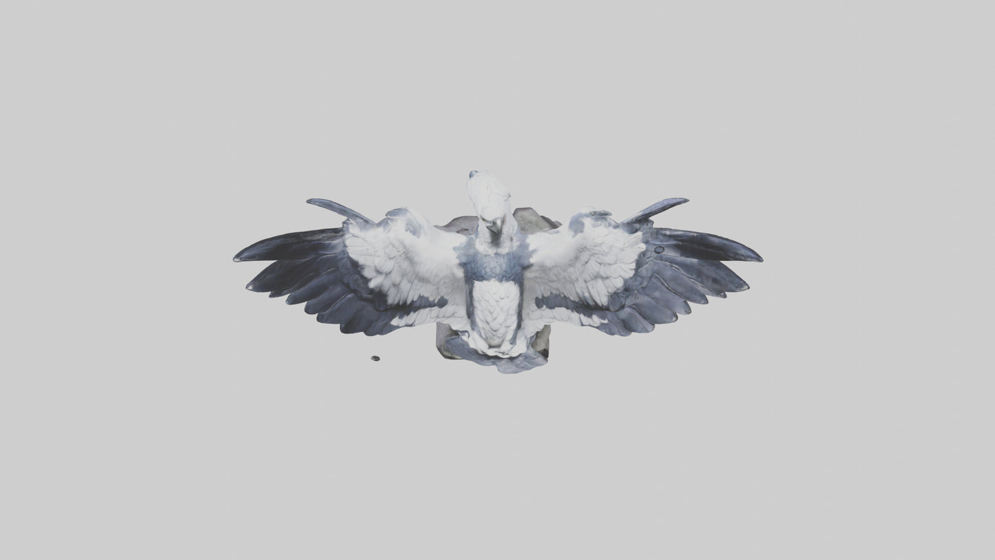 3D model Harpy Eagle statue model VR / AR / low-poly