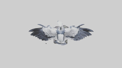 3D model Harpy Eagle statue model VR / AR / low-poly