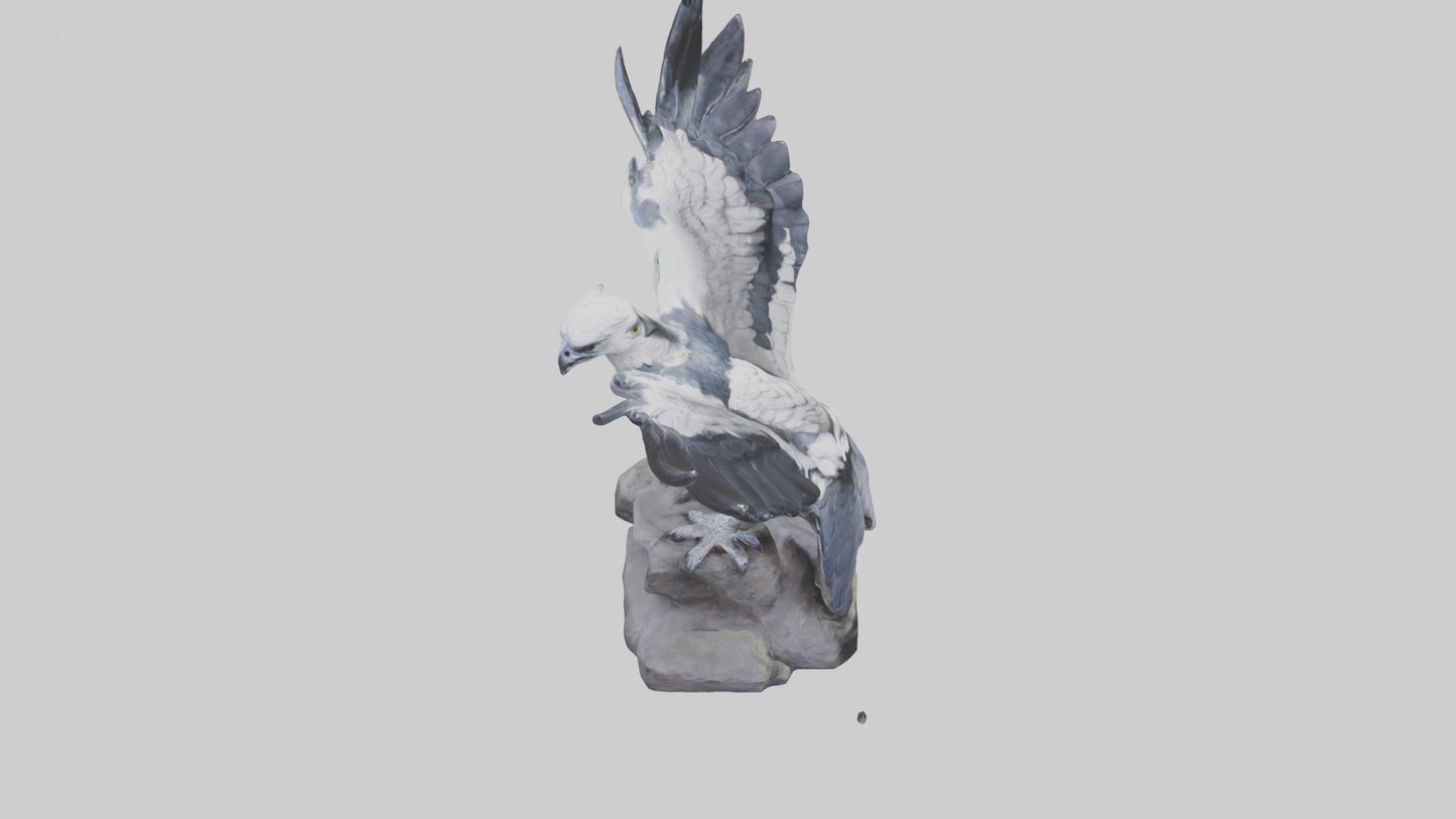 3D model Harpy Eagle statue model VR / AR / low-poly