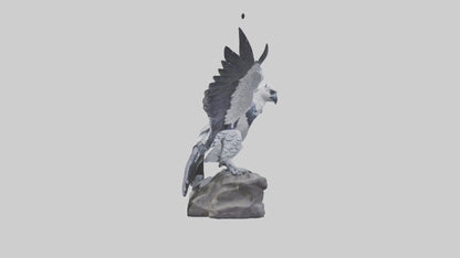 3D model Harpy Eagle statue model VR / AR / low-poly