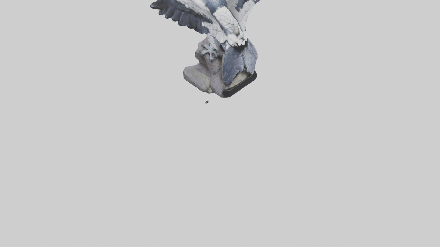 3D model Harpy Eagle statue model VR / AR / low-poly