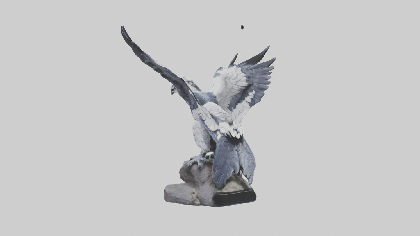 3D model Harpy Eagle statue model VR / AR / low-poly