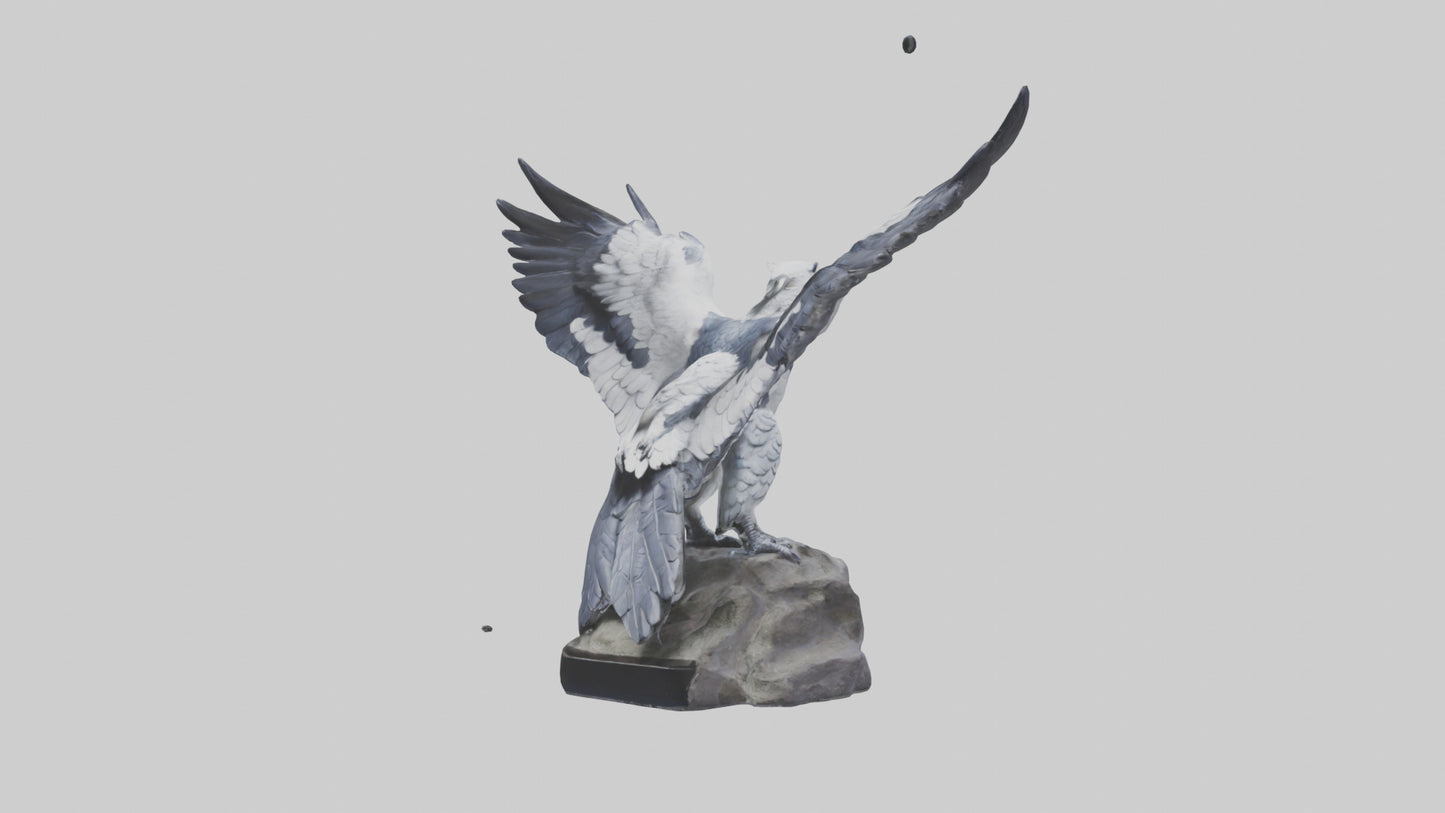 3D model Harpy Eagle statue model VR / AR / low-poly
