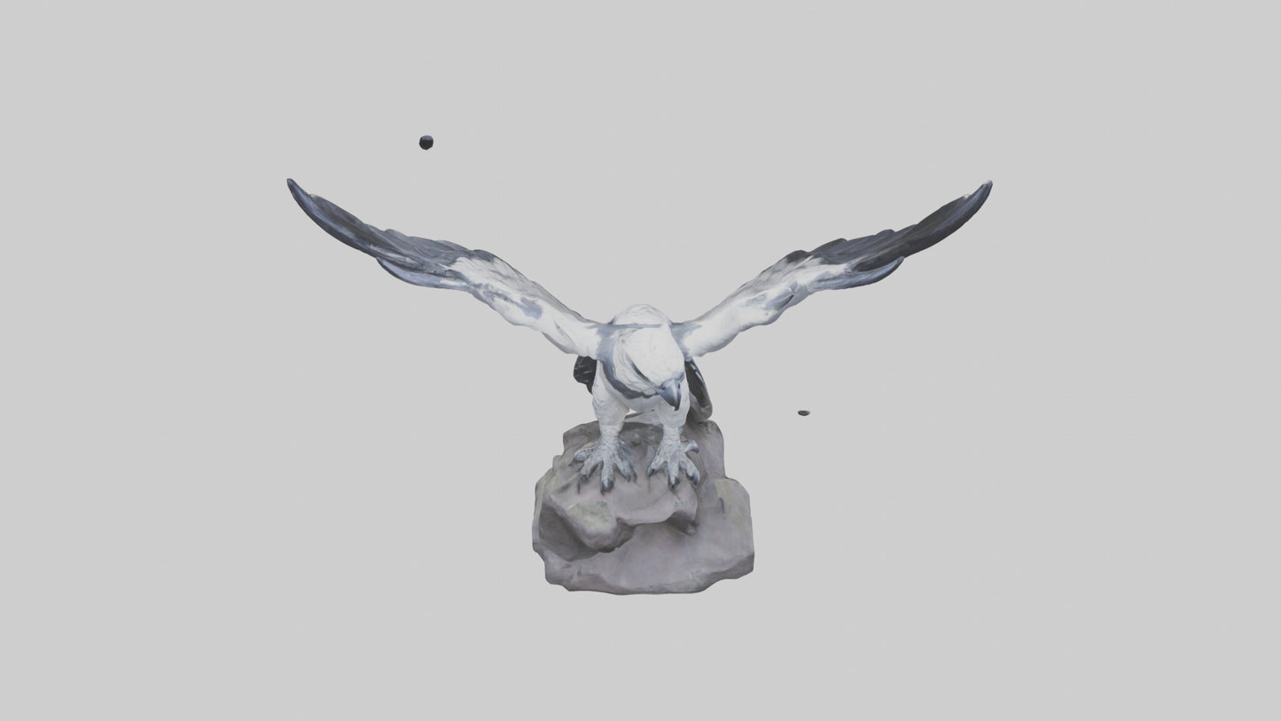 3D model Harpy Eagle statue model VR / AR / low-poly