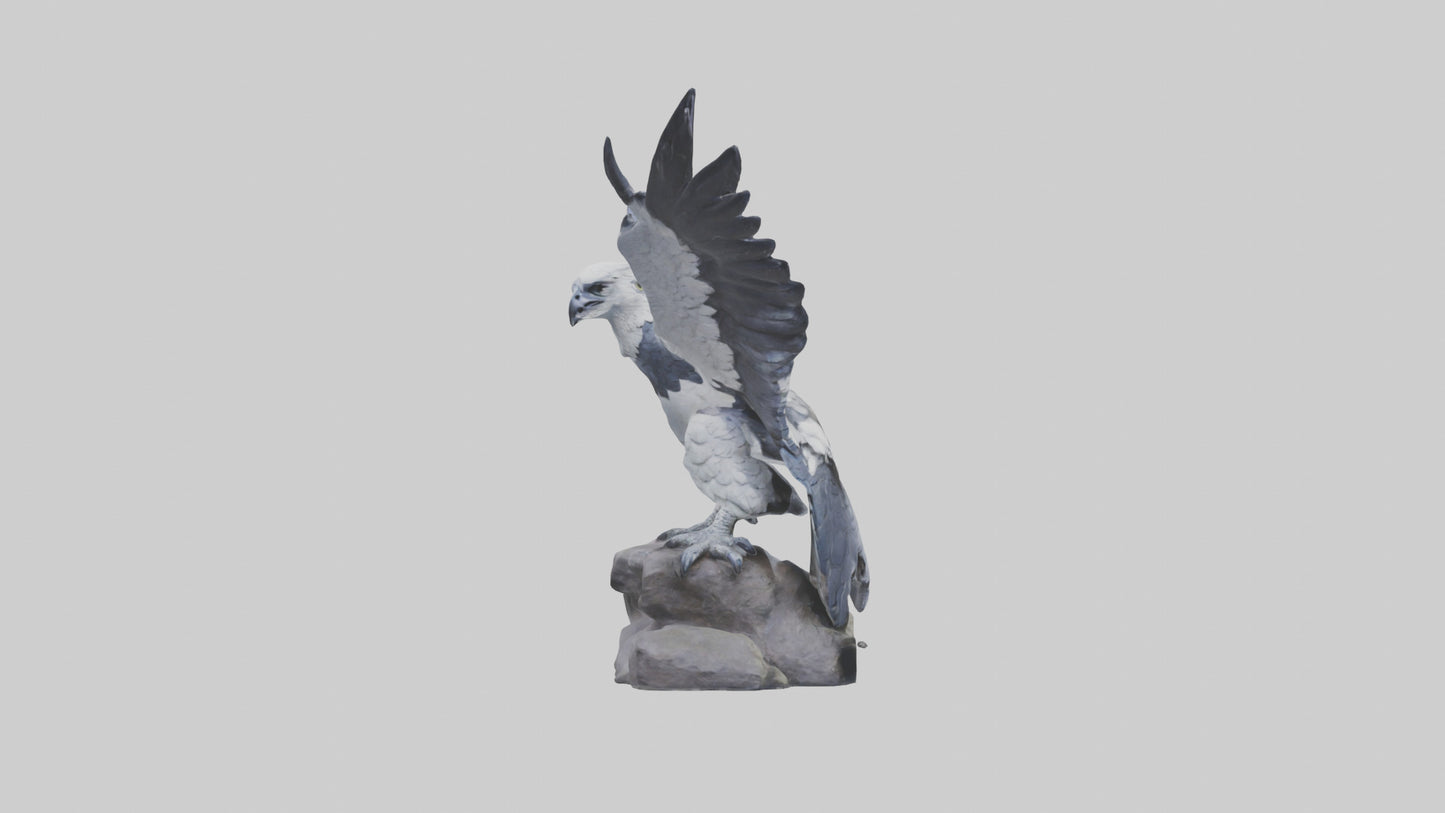 3D model Harpy Eagle statue model VR / AR / low-poly