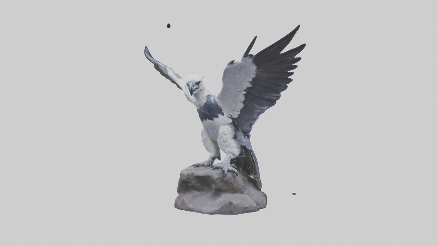 3D model Harpy Eagle statue model VR / AR / low-poly