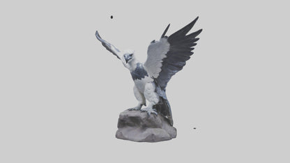 3D model Harpy Eagle statue model VR / AR / low-poly