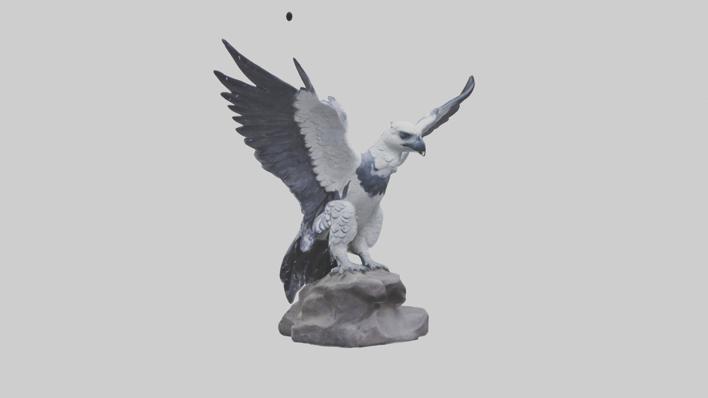 3D model Harpy Eagle statue model VR / AR / low-poly