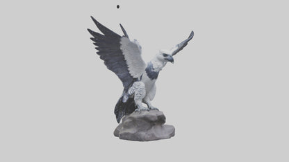3D model Harpy Eagle statue model VR / AR / low-poly