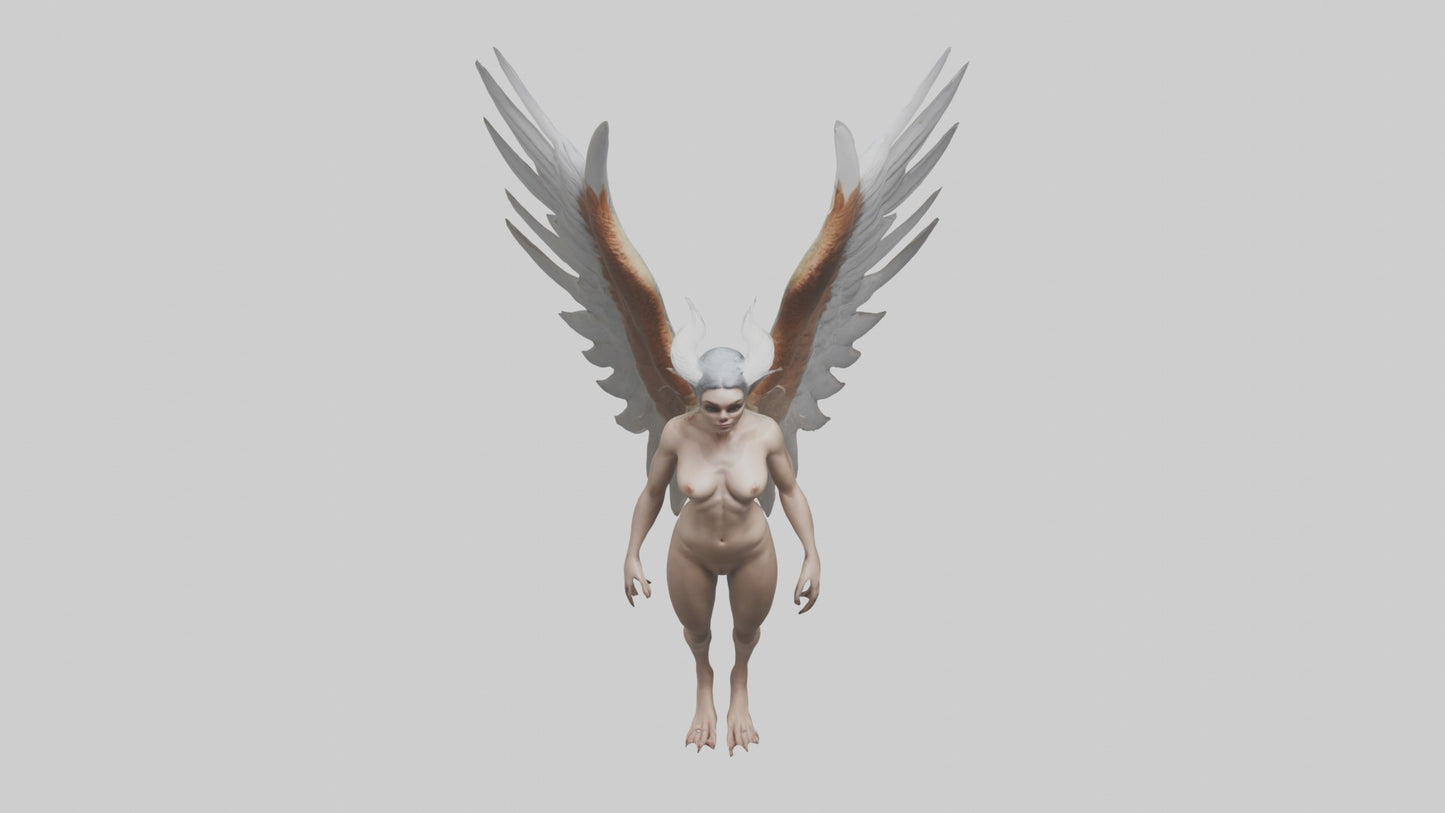 3D model Harpy Model VR / AR / low-poly