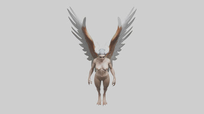 3D model Harpy Model VR / AR / low-poly