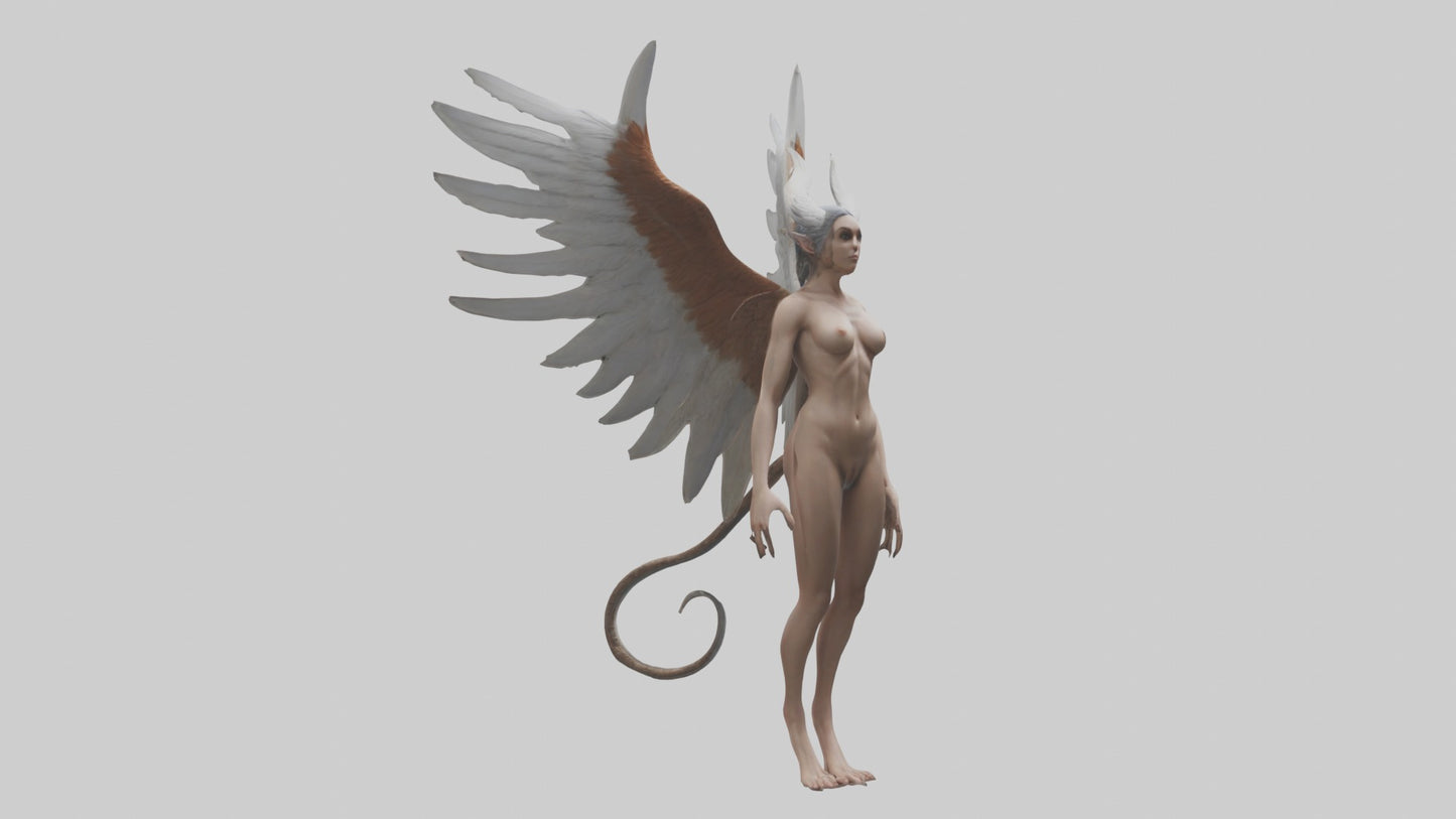 3D model Harpy Model VR / AR / low-poly