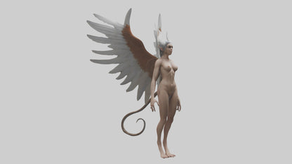 3D model Harpy Model VR / AR / low-poly