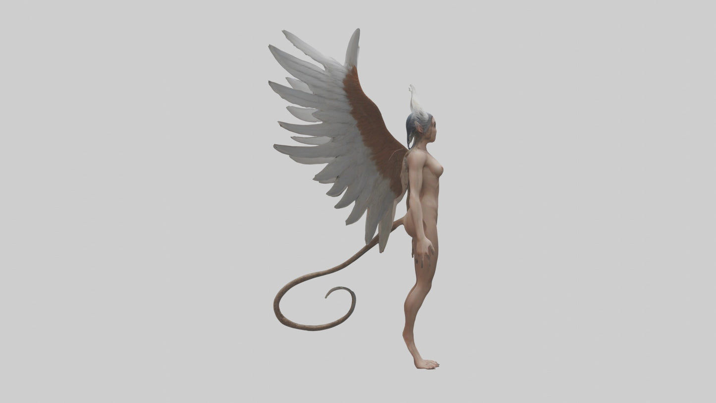 3D model Harpy Model VR / AR / low-poly