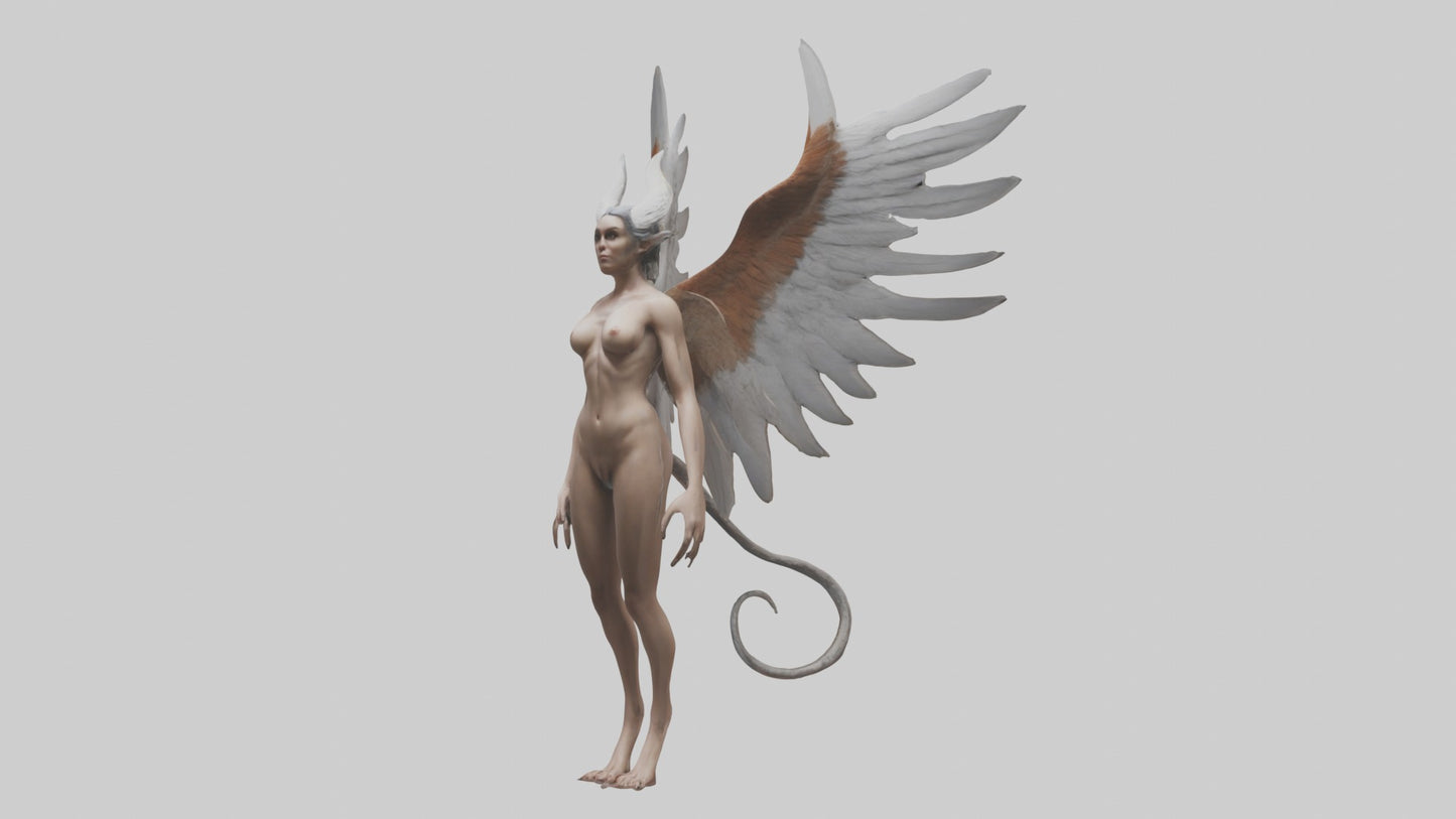 3D model Harpy Model VR / AR / low-poly