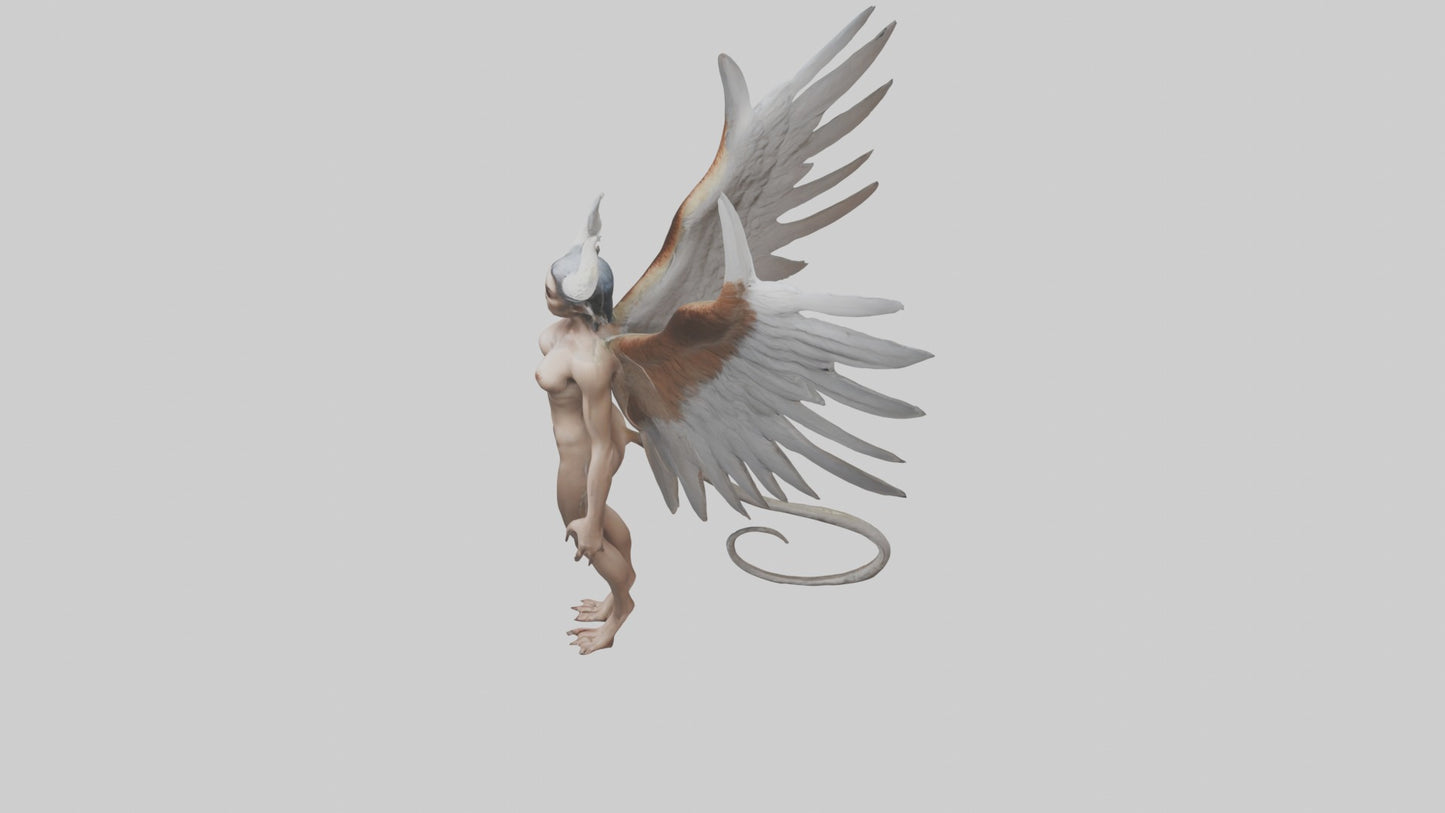 3D model Harpy Model VR / AR / low-poly