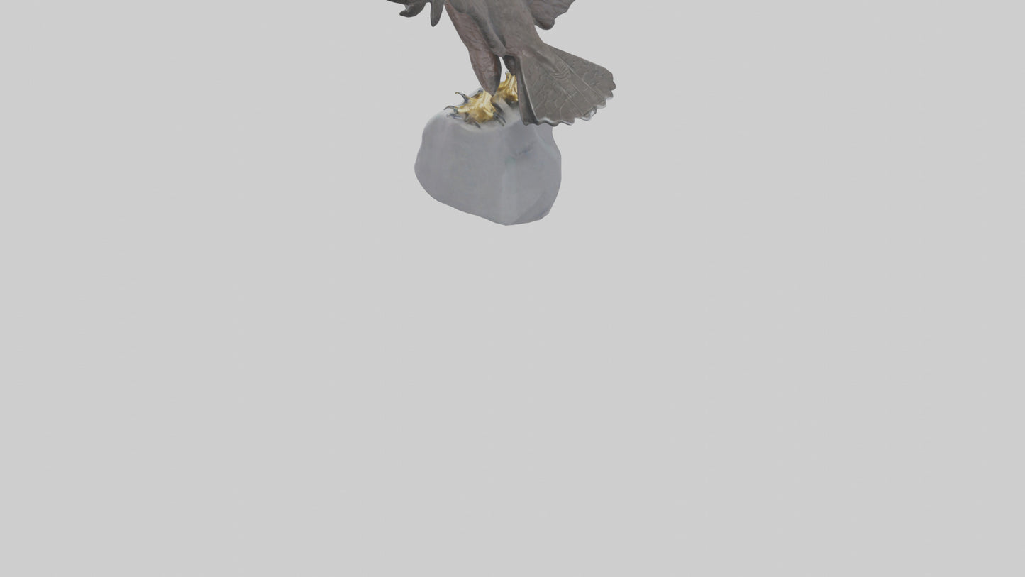Harrier Hawk statue model VR / AR / low-poly