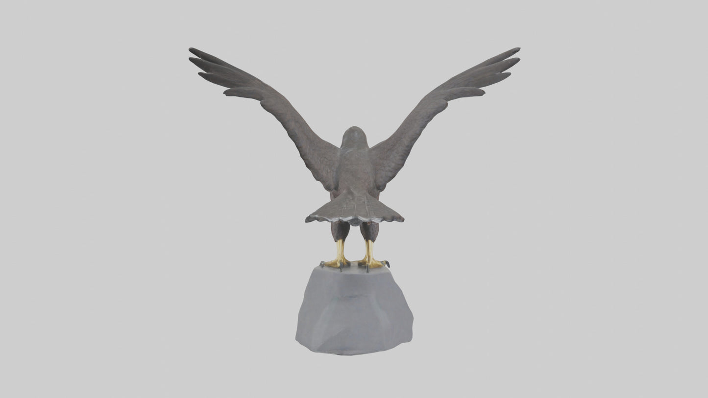 Harrier Hawk statue model VR / AR / low-poly