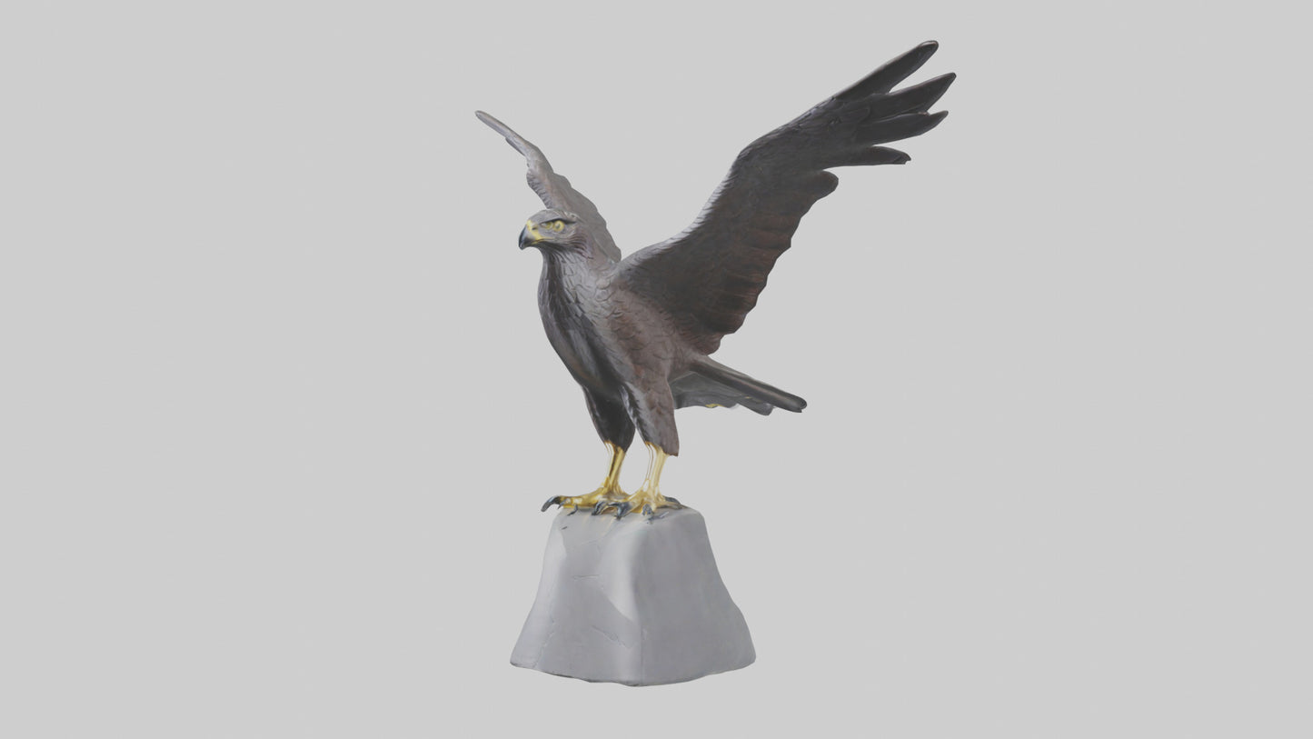Harrier Hawk statue model VR / AR / low-poly