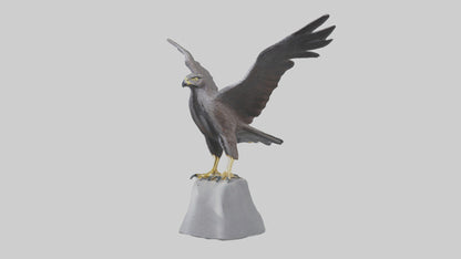 Harrier Hawk statue model VR / AR / low-poly