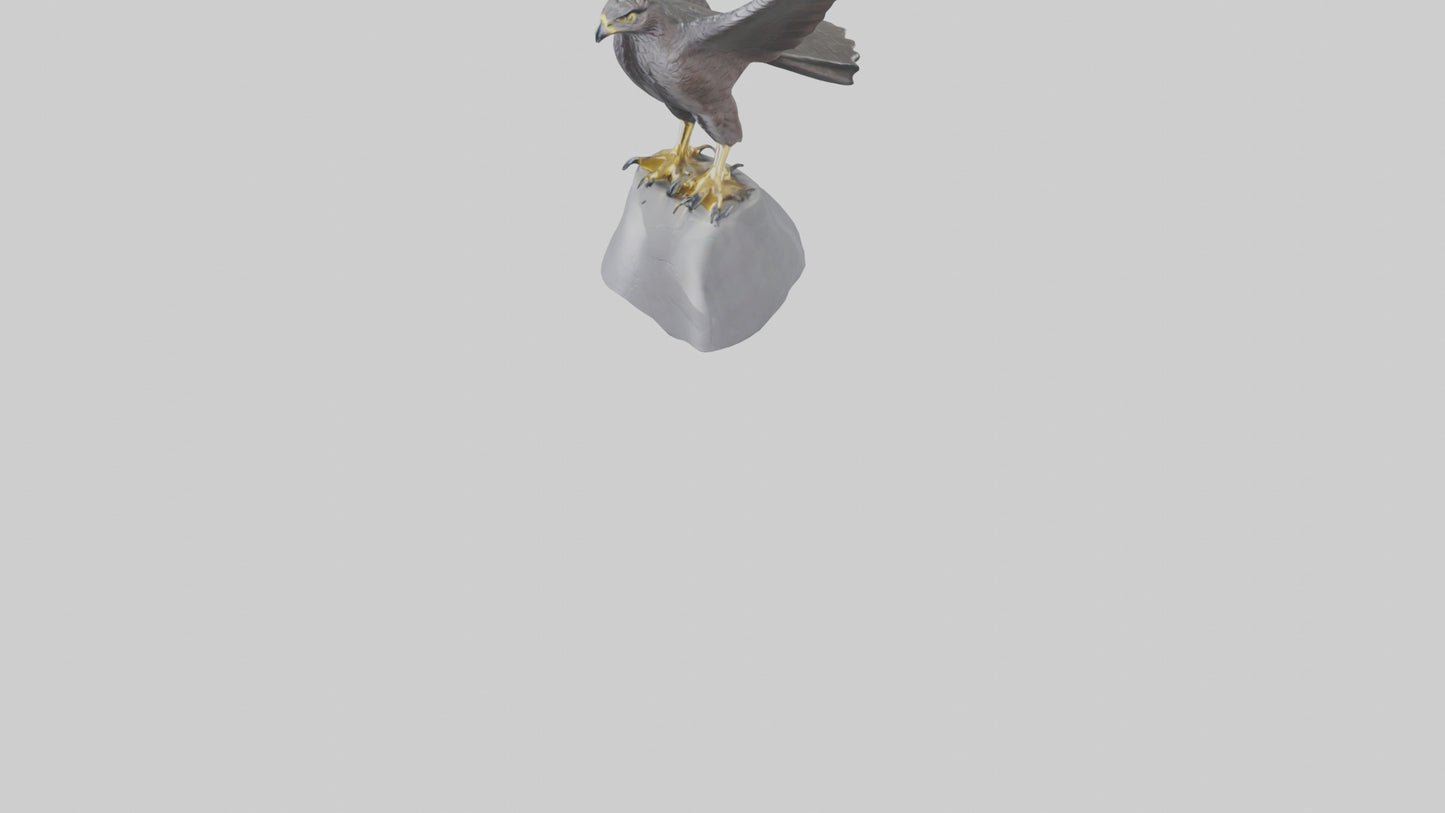 Harrier Hawk statue model VR / AR / low-poly