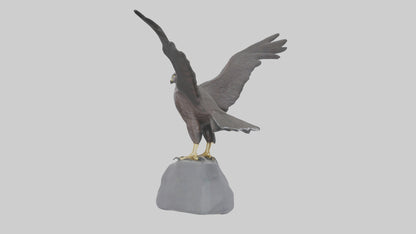 Harrier Hawk statue model VR / AR / low-poly