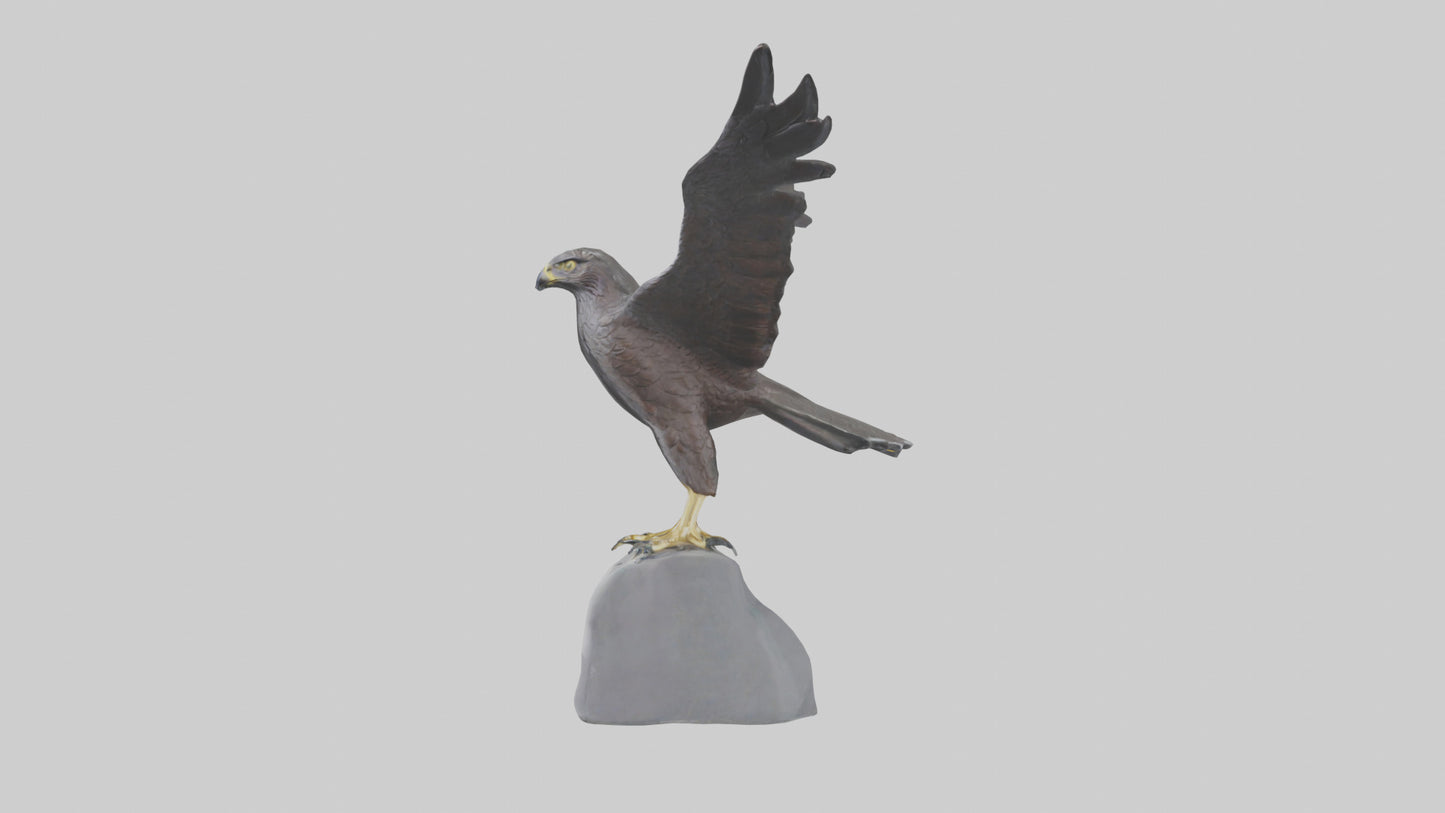 Harrier Hawk statue model VR / AR / low-poly