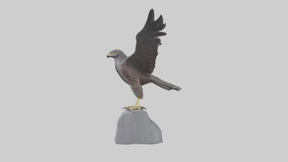 Harrier Hawk statue model VR / AR / low-poly