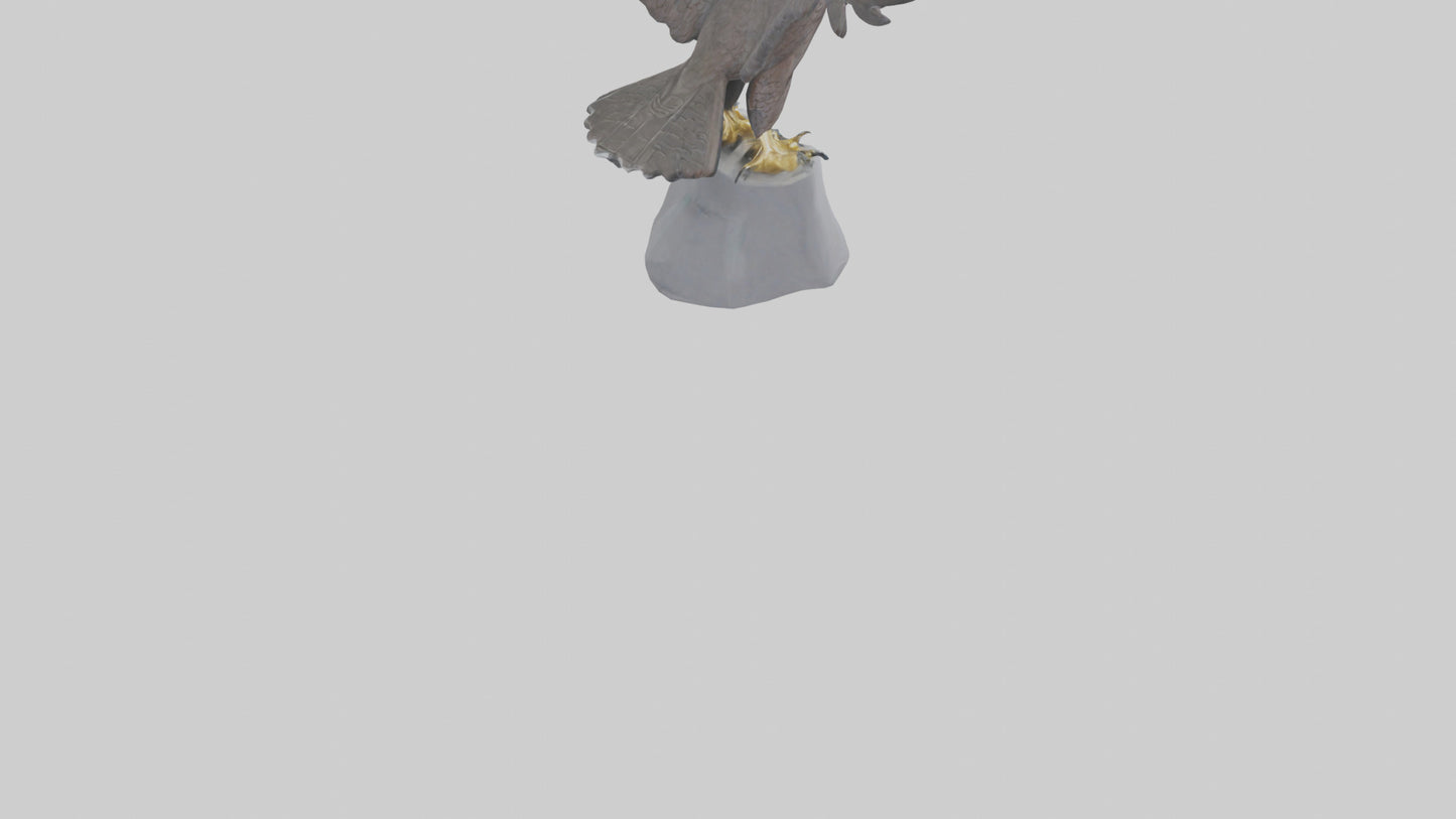 Harrier Hawk statue model VR / AR / low-poly