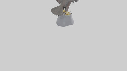 Harrier Hawk statue model VR / AR / low-poly