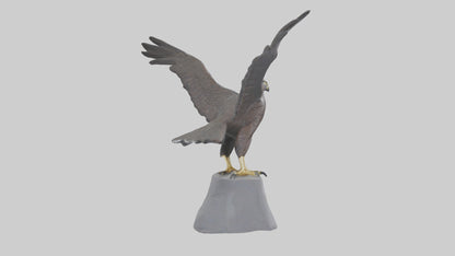 Harrier Hawk statue model VR / AR / low-poly