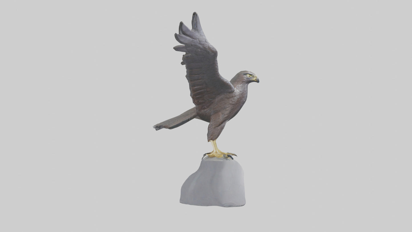 Harrier Hawk statue model VR / AR / low-poly