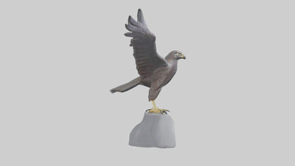 Harrier Hawk statue model VR / AR / low-poly