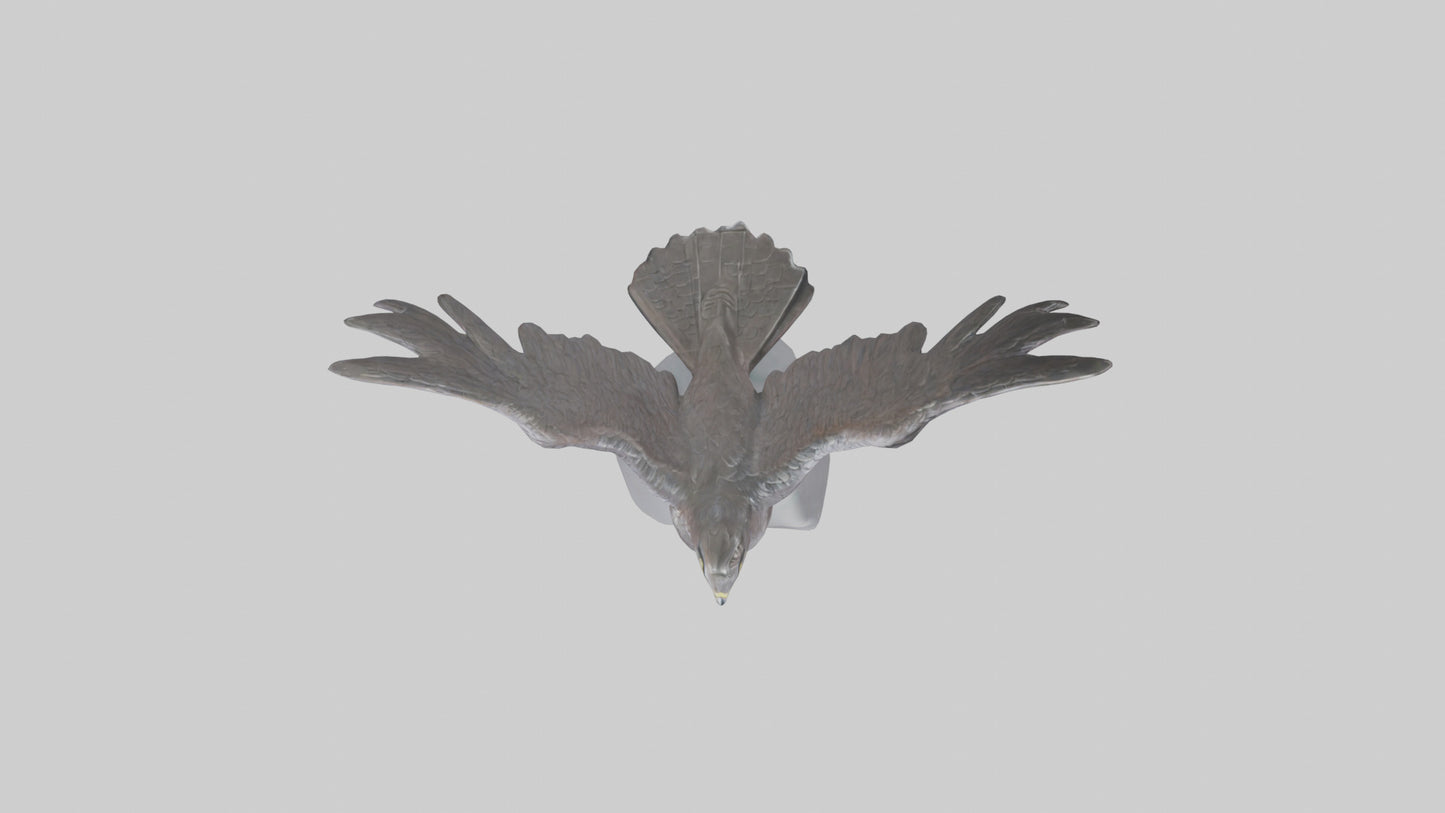 Harrier Hawk statue model VR / AR / low-poly