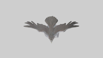 Harrier Hawk statue model VR / AR / low-poly